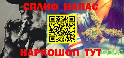 трава Ставрополь