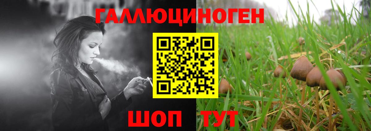 Галлюциногенные грибы прущие грибы  Вход с VPN  Новошахтинск 